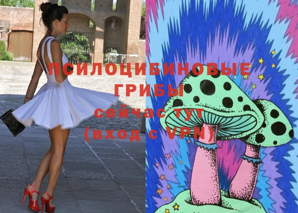 шишки Вязьма