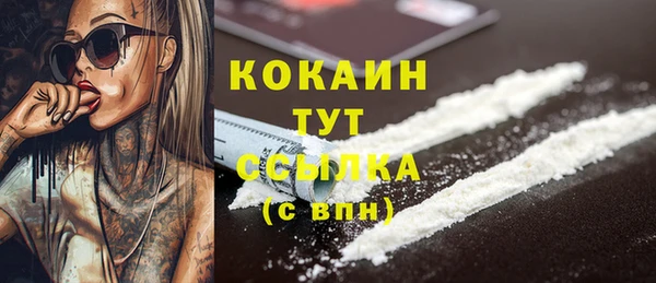 шишки Вязьма
