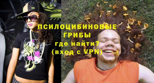 тгк Вяземский